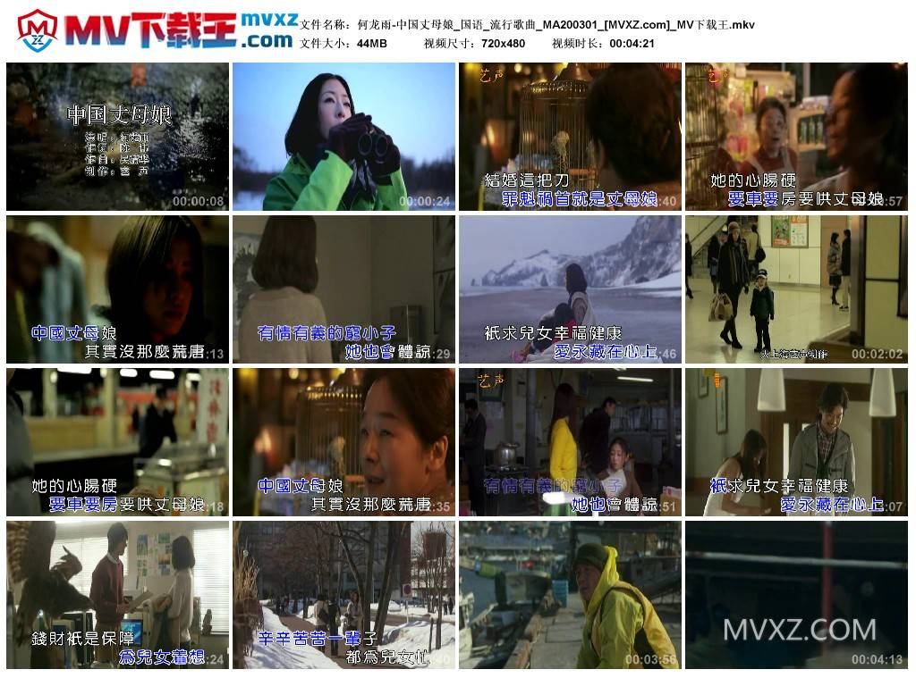 何龙雨-中国丈母娘_国语_流行歌曲_MA200301